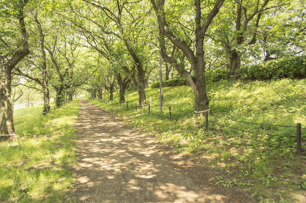 あの夏、私は誰の介護をしたの?