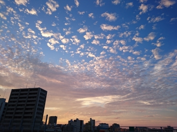 介護に対するアンテナを張っておくことは、いざという時に自分の身を助けます。