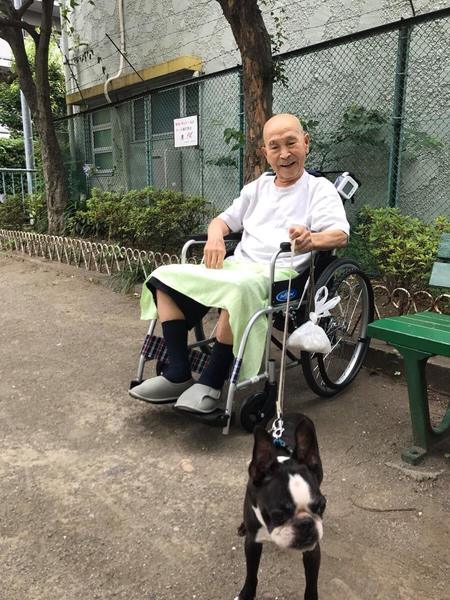 散歩するメンバーさん
